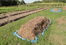 A Embrapa Agrobiologia desenvolveu uma tecnologia para produção de adubos e substratos orgânicos de origem 100% vegetal, utilizando materiais como ...