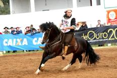 A comercialização do cavalo Crioulo durante a Expointer 2013 está quebrando recordes. Já foram realizados cinco dos oito remates agendados e o faturamento já chega a R$ 7.4 milhões e genéticas de ponta estão sendo vendidas e compradas nas pistas ...