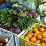 O Plano Nacional de Agroecologia e Produção Orgânica (Planapo) tem lançamento prometido para setembro, no entanto, o governo federal ainda ...