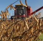 A balança comercial do agronegócio brasileiro teve superávit de US$ 8,7 bilhões em agosto e saldo positivo de US$ 57,7 ...