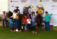 Começaram nesta terça, dia 08, em Avaré, noroeste de São Paulo, os dois últimos eventos oficiais da Associação Brasileira de Criadores de Cavalo Quarto de Milha (ABQM), o 34º Potro do Futuro e a 7ª Copa dos Campeões. O número ...