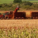 Confira os índices do Boletim Agronegócio.net desta terça-feira 26.11.2013 Açúcar As cotações do açúcar cristal voltaram a se enfraquecer no ...