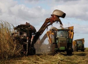 Confira os índices do Boletim Agronegócio.net desta terça-feira, 25 de março 2014 Açúcar Compradores de açúcar cristal, de modo geral, têm fechado novos negócios no mercado spot apenas para completar a escala de produção diária, visto que têm recebido o produto já ...