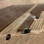 Segundo informações do Outlook Fiesp 2013, uma pesquisa realizada pelo Departamento de Agronegócio (Deagro) da Federação das Indústrias do Estado ...