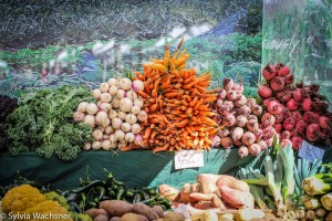 Os produtores de alimentos orgânicos do Distrito Federal reclamam da falta de incentivo do governo e da alta carga tributária. Alguns já pensam em desistir da atividade por causa do alto custo de produção. Eles reivindicam mais incentivos e facilidades ...