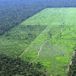 O Sistema de Cadastro Ambiental Rural (SiCAR), implementado pelo Ministério do Meio Ambiente, está sendo lançado nesta semana em quatro ...