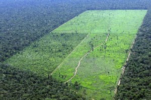 O Sistema de Cadastro Ambiental Rural (SiCAR), implementado pelo Ministério do Meio Ambiente, está sendo lançado nesta semana em quatro estados da união, Santa Catarina, Amapá, Amazonas e Acre. Ontem, dia 17, os lançamento aconteceram simultaneamente nos estados de Santa ...