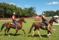 O programa Mangalarga Marchador TV fez uma reapresentação das melhores reportagens de 2013. Vale a pena relembrar a história do pequeno Pedro Henrique, que com paralisia cerebral, usa a equoterapia para melhorar a qualidade de vida. Fonte: Canal Rural