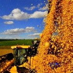 Segundo levantamento da Associação Brasileira das Indústrias de Óleos Vegetais (Abiove), a safra brasileira de soja 2013/2014 foi revisada para ...