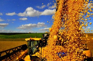 Segundo levantamento da Associação Brasileira das Indústrias de Óleos Vegetais (Abiove), a safra brasileira de soja 2013/2014 foi revisada para 87,6 milhões de toneladas, 7,4% superior à colheita de 2012/2013 (81,6 milhões de ton). O resultado corresponde a um aumento ...