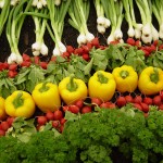 O Projeto Organics Brasil, que reúne 74 empresas exportadoras, fechou o ano de 2013 com geração de US$ 130 milhões ...
