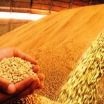 A agropecuária brasileira encerrou o ano de 2013 com crescimento de 11,3% em relação a 2012, informa o Ministério da ...