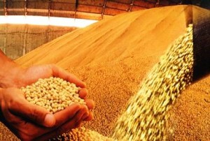 A agropecuária brasileira encerrou o ano de 2013 com crescimento de 11,3% em relação a 2012, informa o Ministério da ...