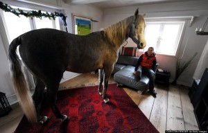 Durante o furacão “Xaver”, que varreu o norte da Alemanha em dezembro do ano passado, a médica Stephanie Arnd, uma moradora  da cidade de Holt, abrigou seu cavalo árabe, de nome Nasar, dentro de sua casa. O cavalo gostou tanto ...