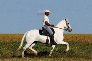 Neste programa Mangalarga Marchador TV é possível aprender como calcular as velocidades no passo, na marcha e no galope do Mangalarga. O programa também mostra o trabalho de seleção genética realizado no Haras WB, por três irmãos apaixonados pela raça. ...