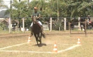 O programa Mangalarga Marchador TV do último domingo, dia 23, mostrou a 6ª Exposição de Inéditos da raça em Betim (MG), que se transformou em um show de genética do marchador, com muita qualidade em pista e adultos e crianças ...