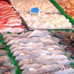 O Setor de pescados brasileiro já está se preparando para a Expo Milão 2015. A feira acontece entre maio e ...