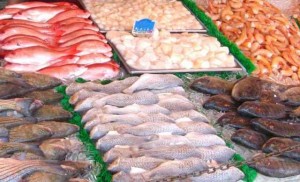 O Setor de pescados brasileiro já está se preparando para a Expo Milão 2015. A feira acontece entre maio e outubro do ano que vem e vai reunir representantes de 142 países. O governo brasileiro espera que o evento ajude ...