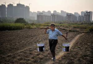 A Comissão Nacional de Desenvolvimento e Reforma da China declarou ontem, em seu relatório de trabalho para 2014, que garantir a segurança alimentar e a proteção do meio ambiente estão entre as principais prioridades da China neste ano. A comissão ...