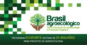 Na última sexta-feira, o secretário de Desenvolvimento Agropecuário e Cooperativismo, do Ministério da Agricultura, Pecuária e Abastecimento, Caio Rocha, participou do lançamento do edital do programa Ecoforte. O edital do Programa Ecoforte vai selecionar organizações que atuam na promoção da ...