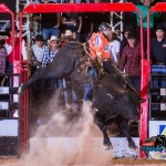 Encerradas as competições da primeira semana de montaria em touros no rodeio Sumaré Arena Music a melhor equipe, Polo Wear, ...