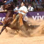 Um cavalo dócil, bom de lida, fácil de doma e ainda com habilidades para participar de várias competições e provas ...