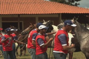 O programa Mangalarga Marchador TV, exibido no último domingo, dia 13/04, no Canal Rural, mostrou como conseguir o melhor desempenho do cavalo com o menor desgaste possível, durante o segundo Simpósio de Equitação e Marcha do Cavalo Mangalarga Marchador, além ...