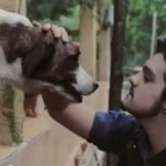 Na semana passada o cantor Luan Santana ganhou destaque no cenário musical com o lançamento do clipe de “Cê Topa”, que ...