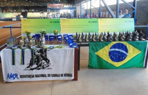 Confederação Brasileira de Hipismo e a Federação Equestre Internacional, juntamente com a Associação Nacional de Cavalo de Rédeas, realizaram as ...