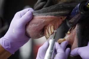 Você sabia que os dentes dos cavalos crescem continuamente e que esses animais precisam ir ao dentista com a mesma frequência que os humanos? Em Gurupi, sul do Tocantins, é comum ver cavalos sendo treinados para as competições de três ...