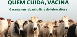 O Instituto Mineiro de Agropecuária (IMA) realizará durante o mês de junho, em todo o Estado, um monitoramento sorológico de circulação do vírus da febre aftosa. O objetivo é apoiar a certificação de ausência de circulação viral em Minas Gerais, ...