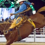 Na próxima sexta-feira, dia 13, tem início a 28ª Festa do Peão de Americana que chega a mais um ano ...