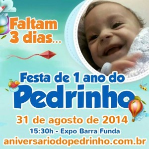 No próximo domingo, dia 31 de agosto, acontecerá a festa de aniversário do menino Pedrinho. O evento foi organizado para que todos possam se divertir e ter a oportunidade de colaborar para o tratamento do menino. Pedrinho é um lindo ...