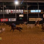 Aconteceu ontem, quinta-feira, 18/09, a primeira competição eliminatória do Team Penning, no Jaguariúna Rodeo Festival. O evento contou com o ...