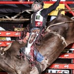 Etapa de Leme (SP) Considerado um dos competidores mais constantes do esporte de montaria em touros, Edimundo Gomes, de Atibaia ...