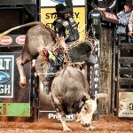 O atleta brasileiro Valdiron de Oliveira conquistou a fivela de campeão da 25º etapa da PBR internacional, que foi realizada ...