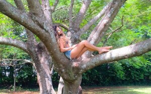 Nesta terça-feira, a cantora Paula Fernandes postou uma foto em seu Instagram, desfrutando da sombra de uma flamboyant. Na legenda ...