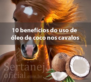 Segue abaixo uma lista de 10 benefícios do uso de óleo de coco nos cavalos: 1. Melhora do Intestino – O óleo de coco contém triglicéridos de cadeia média (MCT), que são mais fáceis de digerir, melhor absorção e conversão de ...