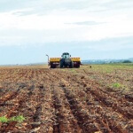 Vazio Sanitário começa nesta quarta-feira em Mato Grosso