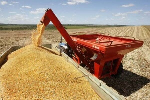 A Safra de grãos 2015_2016 deve ser de 189,3 milhões de toneladas. Do total, a soja representa 95,6 milhões t, e o milho, 69,1 milhões t As condições climáticas nas principais regiões produtoras afetaram a produtividade das lavouras, sobretudo do milho ...