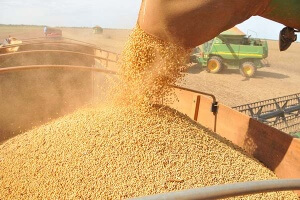 Preço da soja em julho no mundo Os preços externos da soja em grão e do farelo caíram com força na semana passada. Segundo pesquisadores do Cepea, a pressão veio de especulações indicando que as inundações na China, que resultaram ...