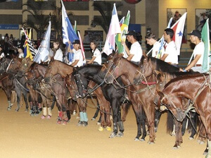 Vem ai o 9º Grand Prix do Haras Raphaela - De 7 a 12 de março com a distribuição R$ 511mil em premiação!