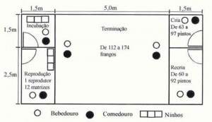 Como construir um galinheiro [Parte 1] O sistema alternativo de criação de galinhas caipiras preconiza a construção de instalações simples ...