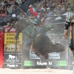 Certamente José Vitor Leme não poderia esperar tanto em sua primeira temporada na Professional Bull Riders (PBR). Depois de fazer história ...